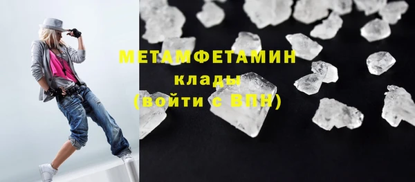 шишки Белокуриха
