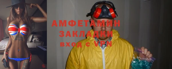 шишки Белокуриха