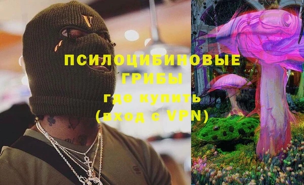 шишки Белокуриха