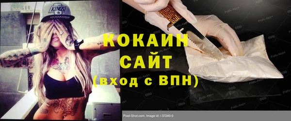 шишки Белокуриха
