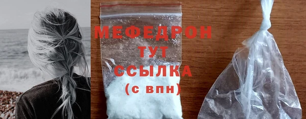 шишки Белокуриха