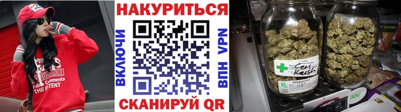 Конопля White Widow  Купить закладки  Новодвинск 